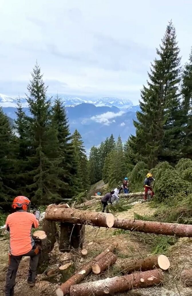 Schwendaktionen Achental 9