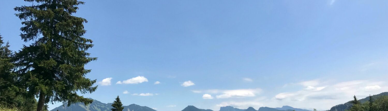 Chalet Chiemgau