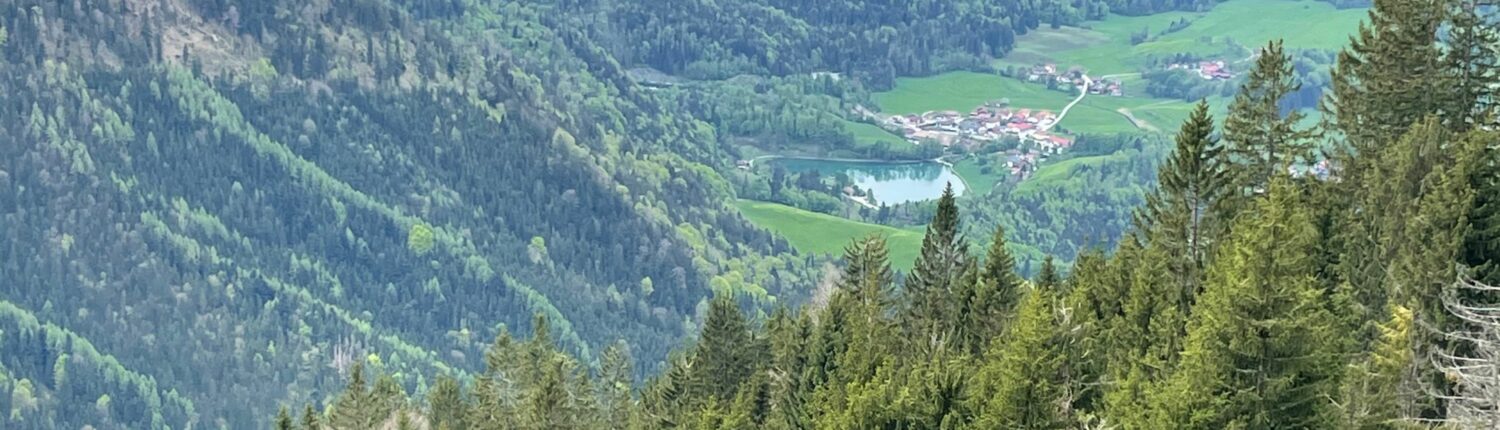 Ferienwohnung Geigelsteinblick