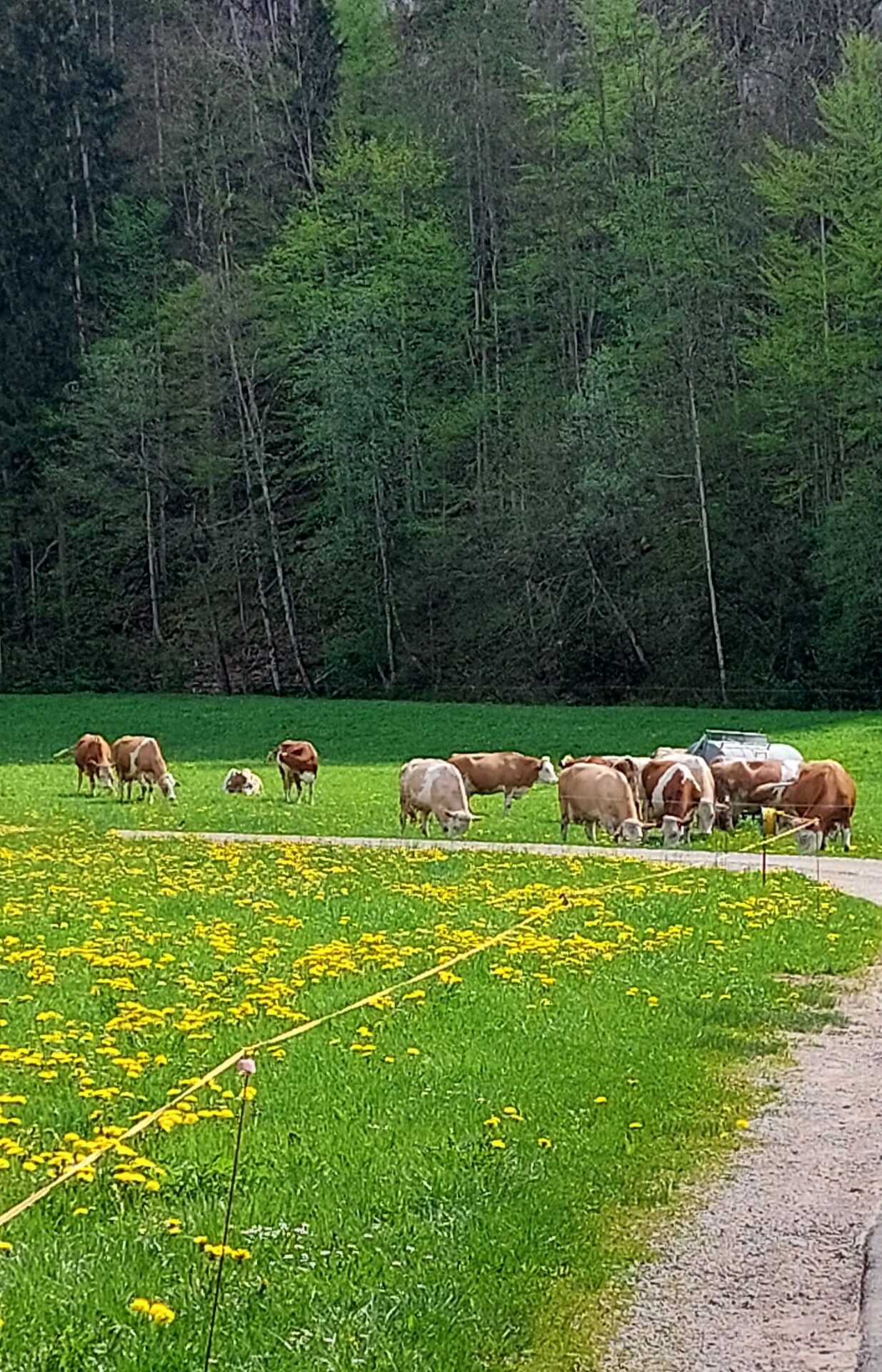 Natur vor Haustüre