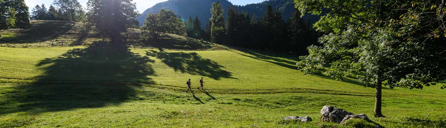 sommer-alm-achental-2