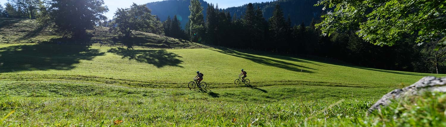 sommer-alm-achental-5