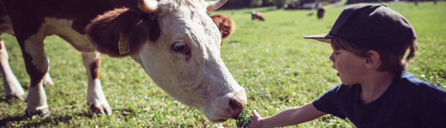 WEhn_192331_-_1500w@2x