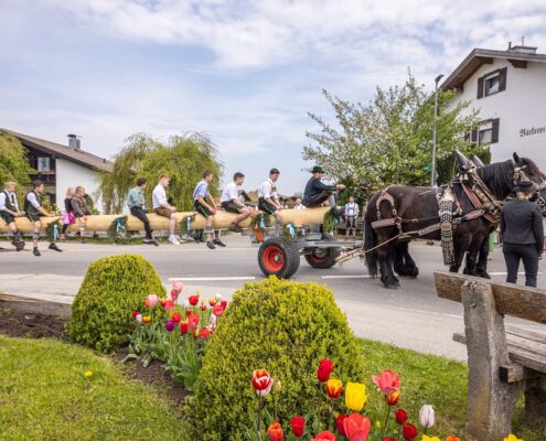Brauchtum Achental, Maibaum aufstellen