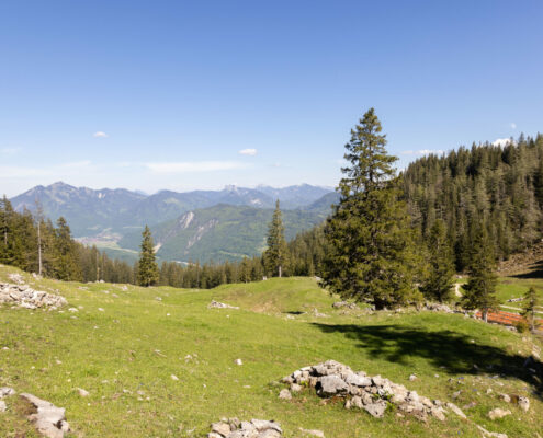 Haidenholzalm, Sommer im Achental