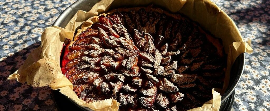 Zwetschgendatschi, Sommer