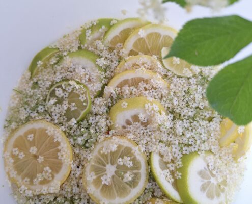 Hollersirup - Holunderblüten Sirup