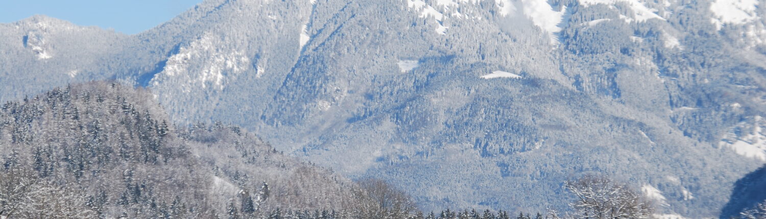 Naturrodelbahn am Balsberg