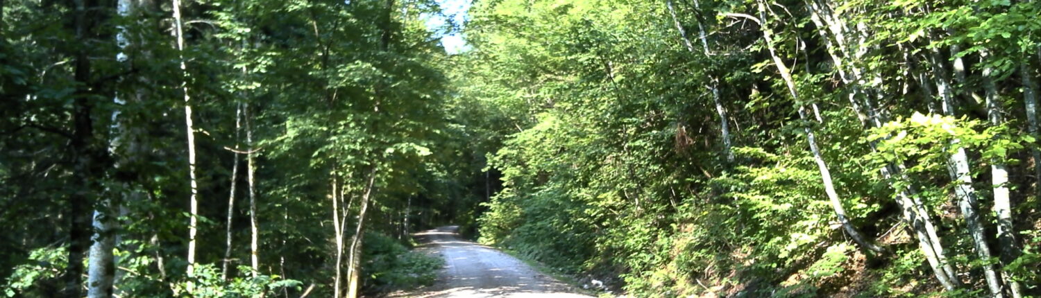 Über Aßberg- und Hutzenalm nach Reit im Winkl
