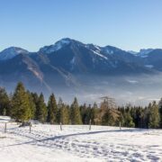 8Q0dkCziN2AMfPHOkr6vjNuJqWMXi749FrlZ94uH