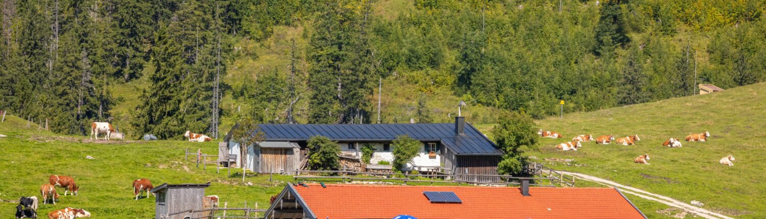 MTB 38 Röthelmoos-Jochbergalm Runde