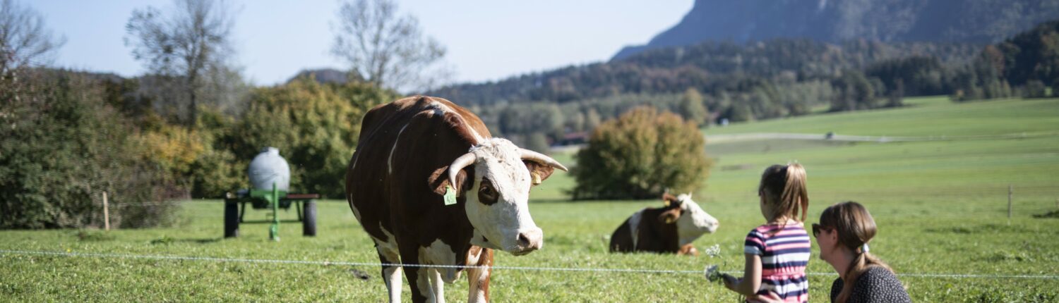 Von Marquartstein nach Grassau und zurück