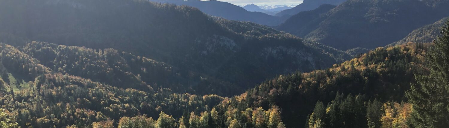 Trailrun – Wössner See – Burgaualm – Litzelau