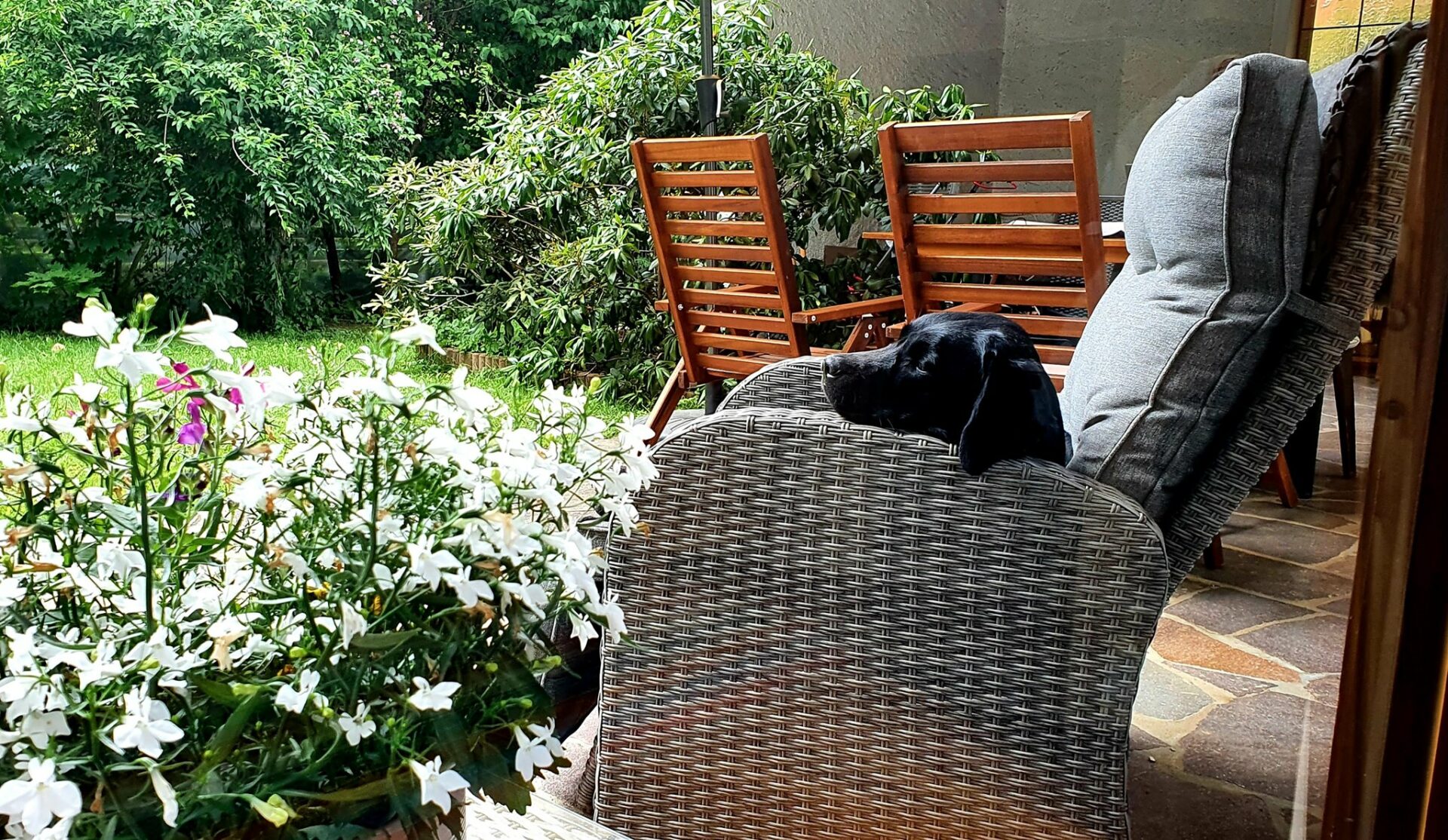 Terrasse