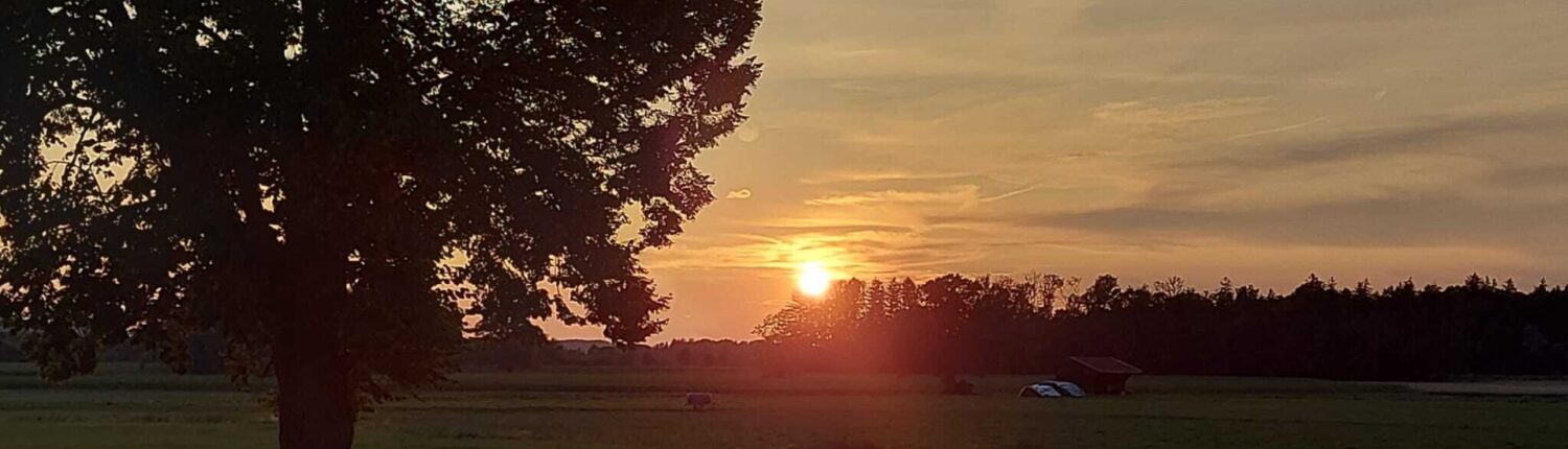 Camper-Stellplatz Huberhof