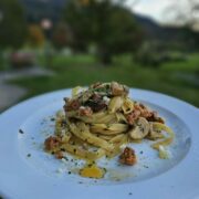 Kulinarik, Bandnudeln mit Steinpilzen