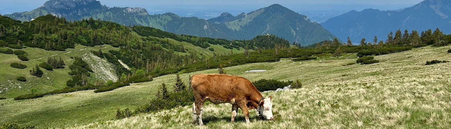 Imkerladl Wolfgang und Petra Mix