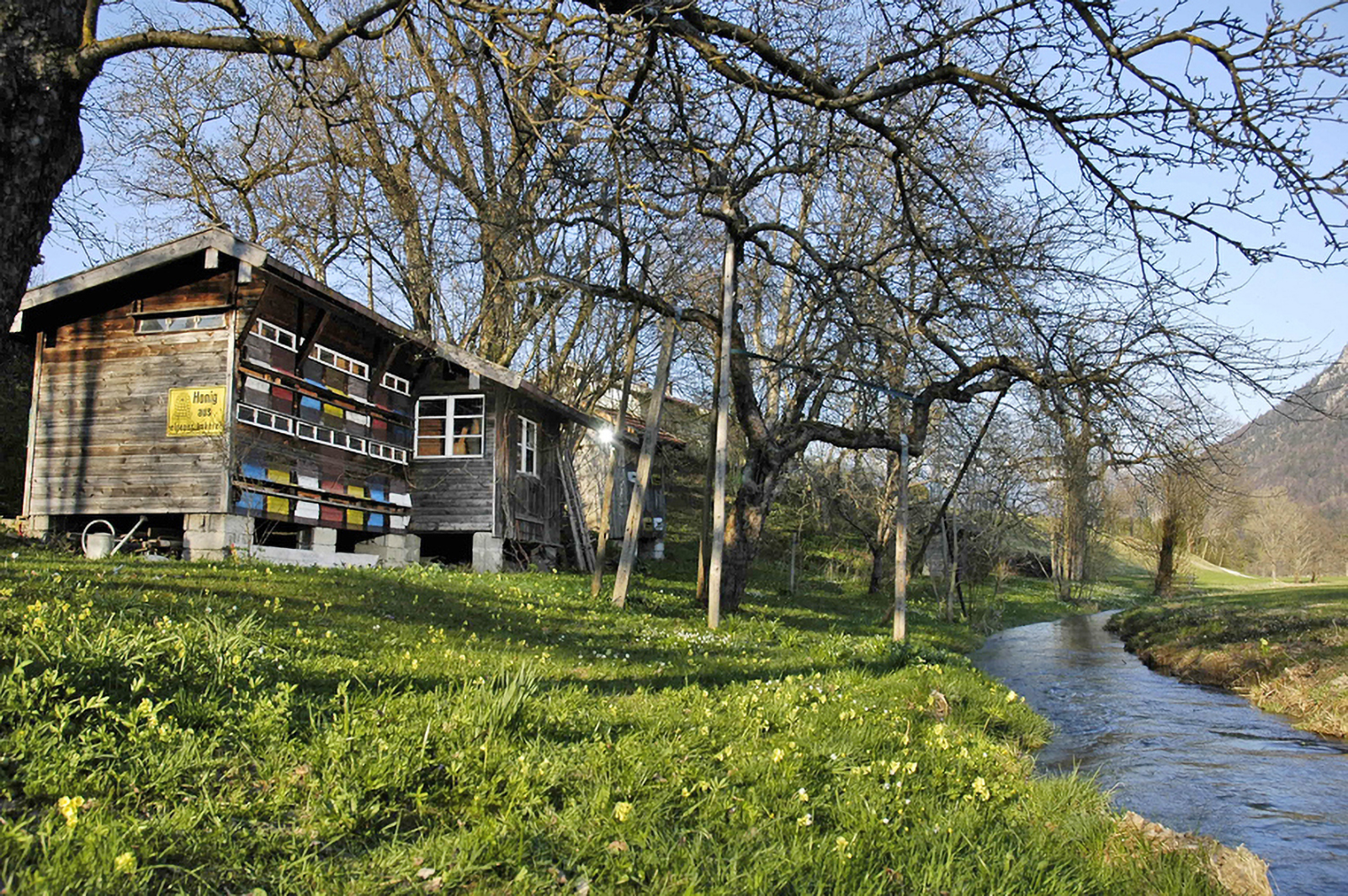 Loidl Hausladl Loidl Hausladl