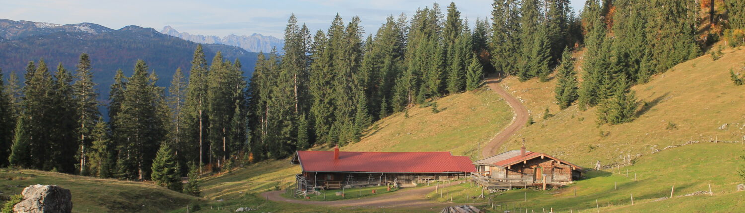 Finsterbachalm-Rundweg